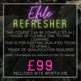 EFILE REFRESHER ONE TO ONE TRAINING